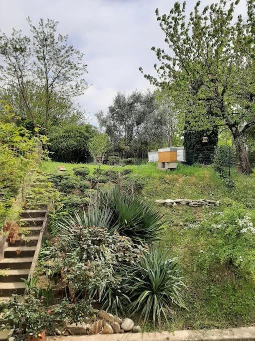 Le 16 Villa Toulouse Eksteriør bilde